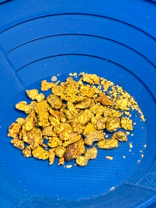 Gold found in Australian creeks with a gold pan and river sluice 