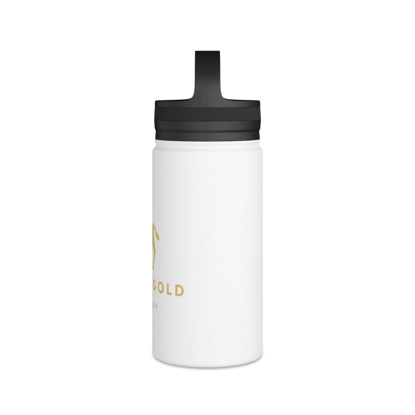 Stainless Steel Water Bottle, Handle Lid