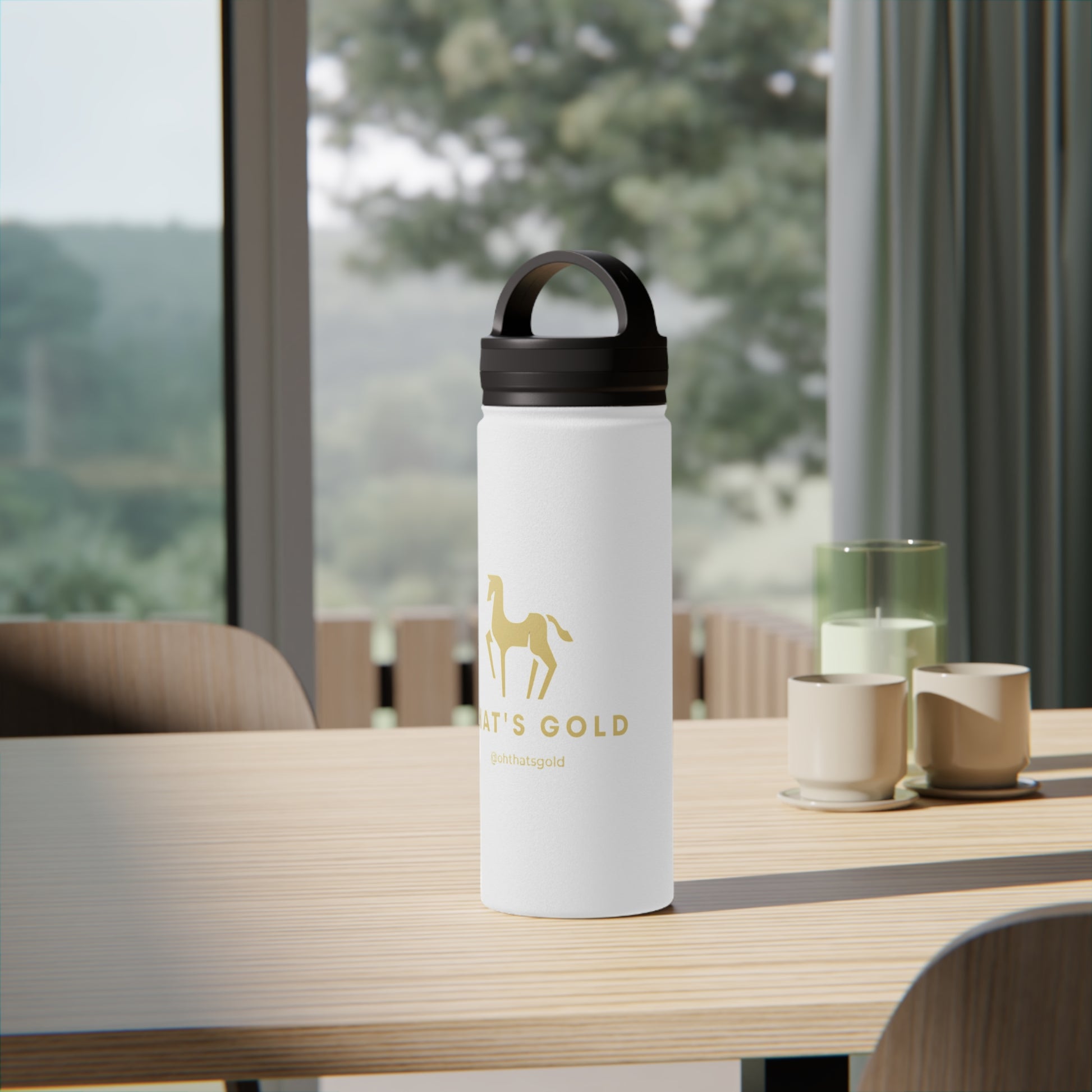 Stainless Steel Water Bottle, Handle Lid