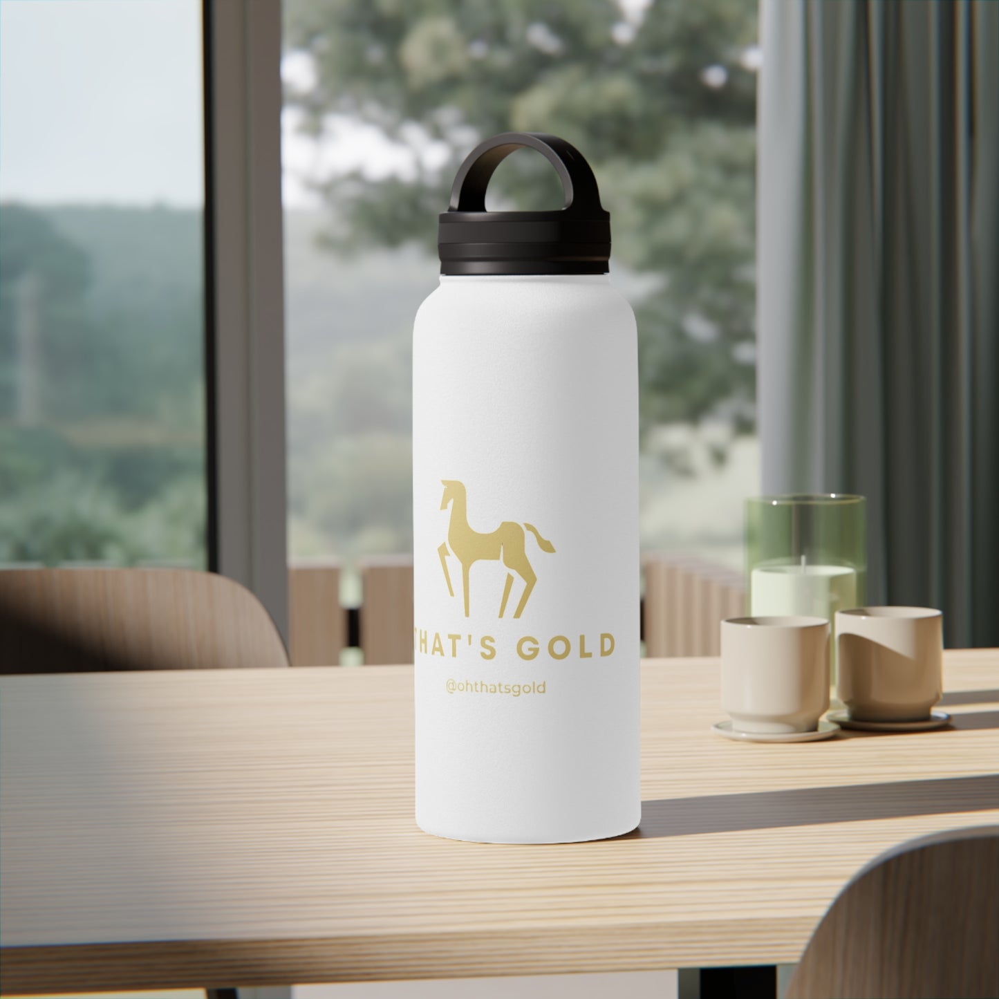 Stainless Steel Water Bottle, Handle Lid