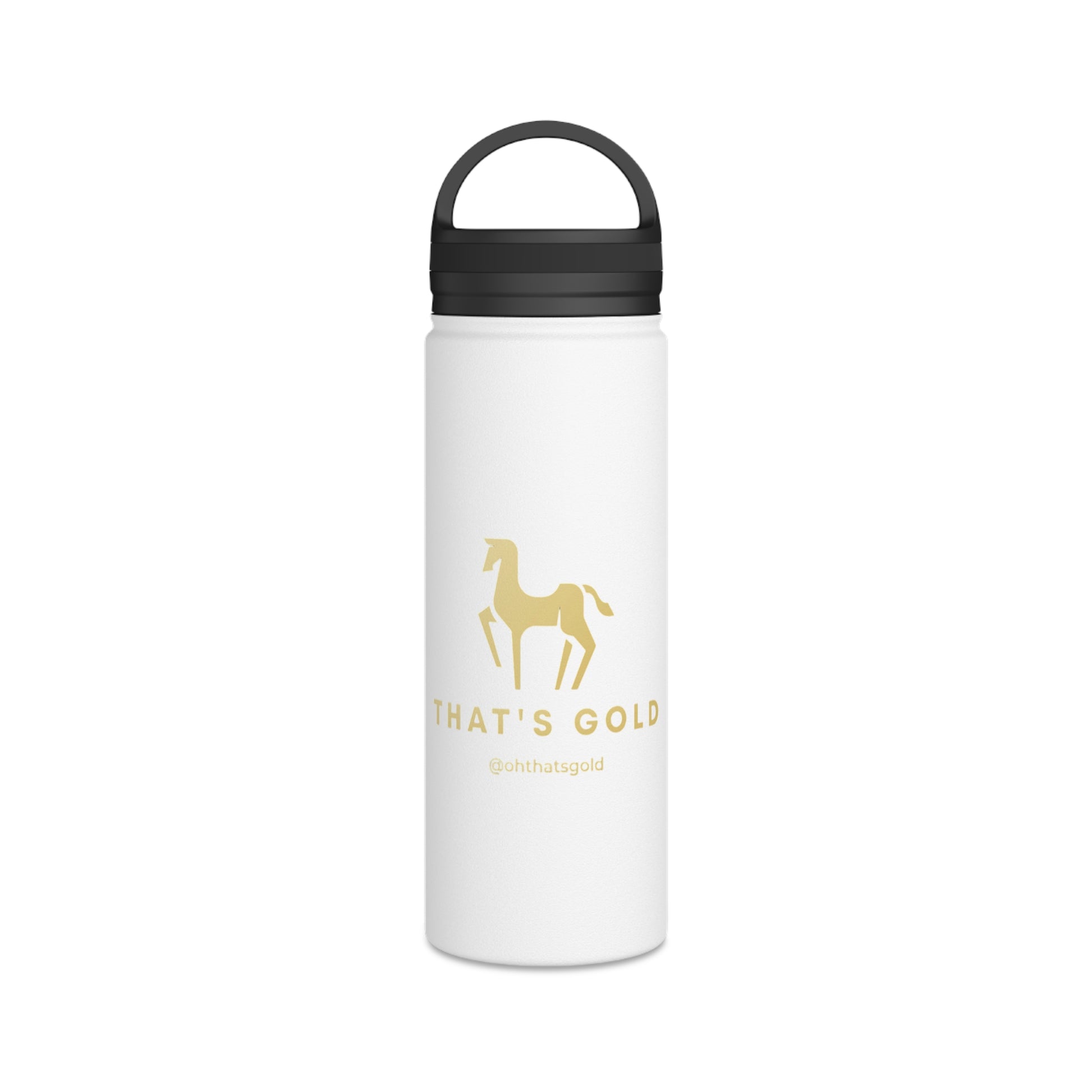 Stainless Steel Water Bottle, Handle Lid