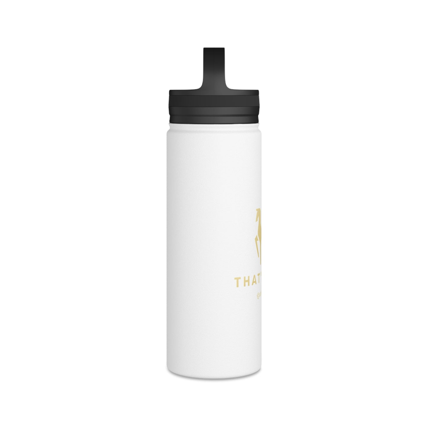 Stainless Steel Water Bottle, Handle Lid